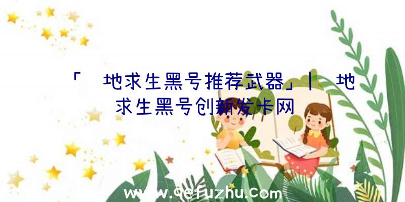 「绝地求生黑号推荐武器」|绝地求生黑号创新发卡网